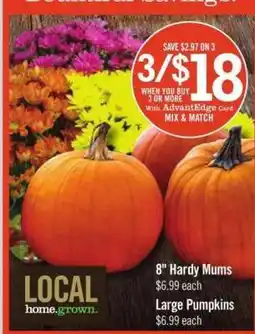 Price Chopper Large Pumpkins offer