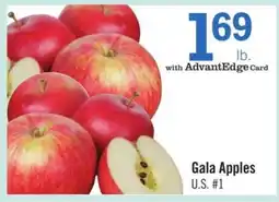 Price Chopper Gala Apples offer