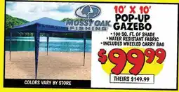 Ollie's 10' X 10' POP-UP GAZEBO offer
