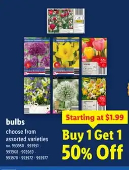 Lidl bulbs offer