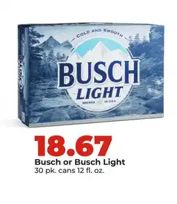 Hy-Vee Busch or Busch Light offer