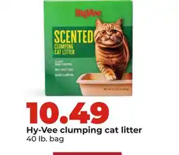 Hy-Vee Hy-Vee clumping cat litter offer