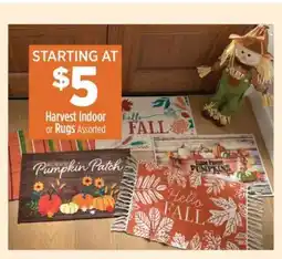 Dollar General Harvest Indoor or Rugs Assorted offer