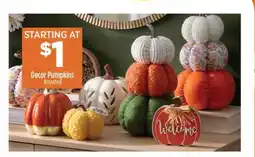 Dollar General Decor Pumpkins offer