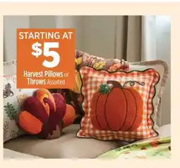 Dollar General Harvest Pillows or Throws offer