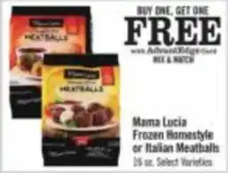 Price Chopper Mama Lucia Frozen Homestyle or Italian Meatballs offer