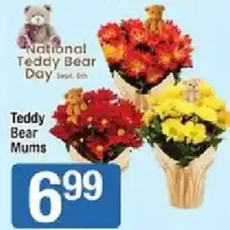 Star Market Teddy Bear Mums offer