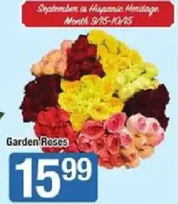 Star Market Garden Roses offer