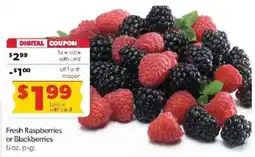 Family Fare Fresh Raspberries or Blackberries offer