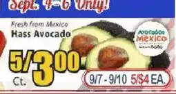 Food Universe Hass Avocado offer