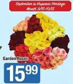 Shaw's Garden Roses offer
