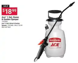 Ace Hardware Ace 1 Gal. Home & Garden Sprayer offer
