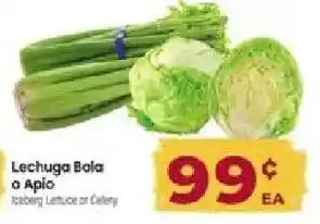 Iceberg Lettuce or Celery