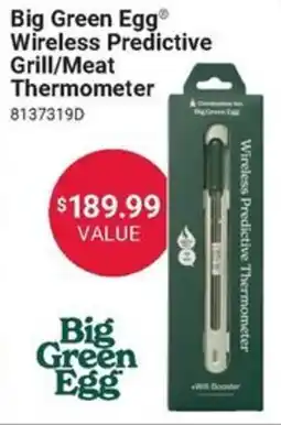 Ace Hardware Big Green Egg wireless predictive grill/meat thermometer offer