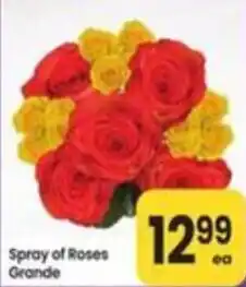 Safeway Spray of Roses Grande offer