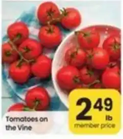 Safeway Tomatoes on the Vine offer
