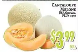 Trade Fair Supermarket Cantaloupe Melons offer