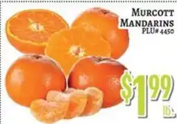 Trade Fair Supermarket Murcott mandarins offer