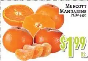 Trade Fair Supermarket Murcott mandarins offer