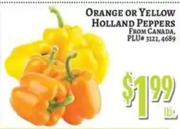 Trade Fair Supermarket Orange or Yellow Holland Peppers offer