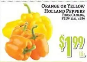 Trade Fair Supermarket Orange or Yellow Holland Peppers offer