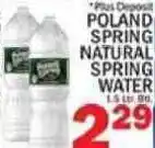 C Town Poland spring natural spring water offer