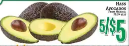 Trade Fair Supermarket Hass avocados offer