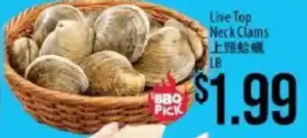 Hmart Live Top Neck Clams offer