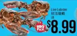 Hmart Live Lobster offer