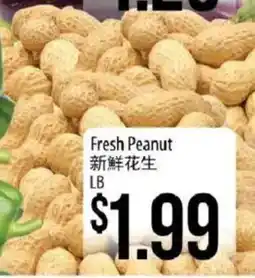 Hmart Fresh Peanut offer