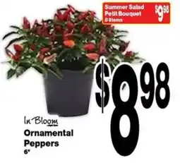 Super Saver In Bloom Ornamental Peppers offer