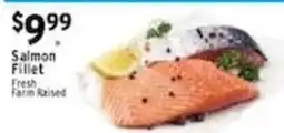 Met Foodmarkets Salmon Fillet offer