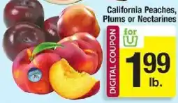 Shaw's California Peaches, Plums or Nectarines offer