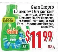 Trade Fair Supermarket Gain liquid laundry detergent offer