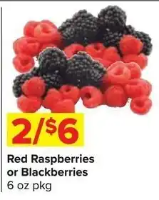 Shop 'n Save Red Raspberries or Blackberries offer