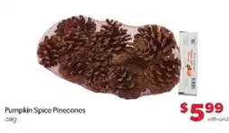 Family Fare Pumpkin Spice Pinecones offer