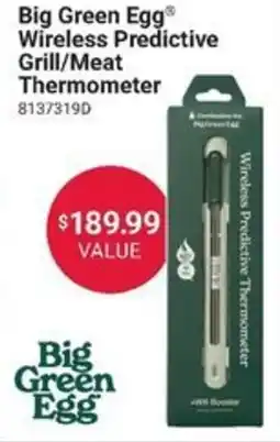 Ace Hardware Big Green Egg wireless predictive grill/meat thermometer offer