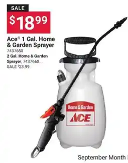 Ace Hardware Ace 1 Gal. Home & Garden Sprayer offer