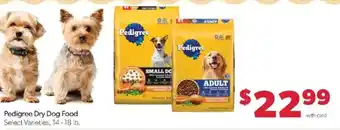 Pedigree Dry Dog Food