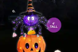 BJ’s Berkley Jensen Spider in Jack-O'-Lantern offer