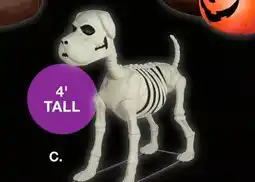 BJ’s Berkley Jensen Dog Skeleton with LED Black Light offer