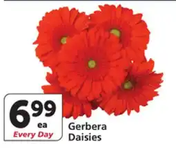 Albertsons Gerbera Daisies offer