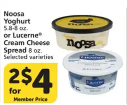 Albertsons Noosa Yoghurt 5.8-8 oz. or Lucerne Cream Cheese Spread 8 oz offer