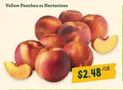 Sprouts Farmers Market Yellow Peaches or Nectarines offer
