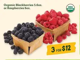 Sprouts Farmers Market Organic Blackberries 5.6oz. or Raspberries 6oz offer