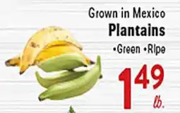 Rio Valley Market Plantains offer