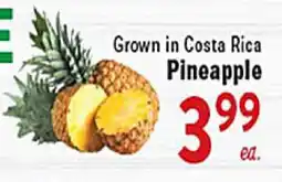Rio Valley Market Pineapple offer