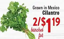 Rio Valley Market Cilantro offer