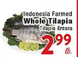 Rio Valley Market Indonesia Farmed Whole Tilapia offer