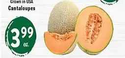 Rio Valley Market Cantaloupes offer